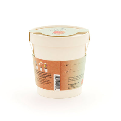 Tigertomate Anzuchtset – Becher mit Saatgut & Kokos-Quelltablette