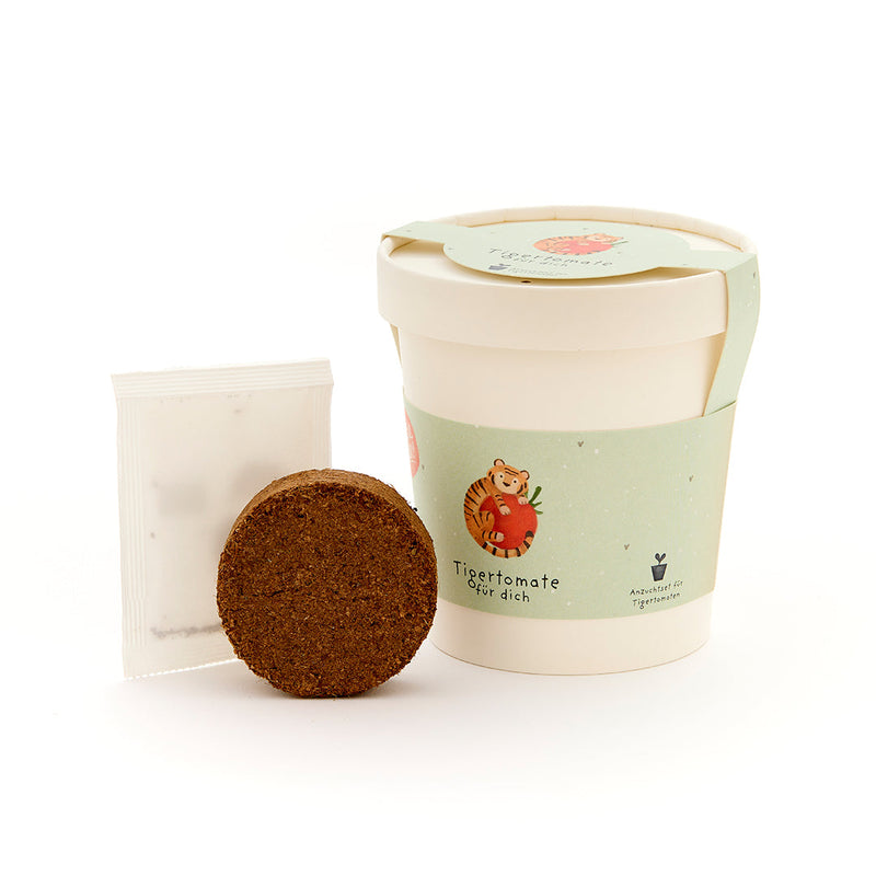 Tigertomate Anzuchtset – Becher mit Saatgut & Kokos-Quelltablette — Ansicht 3