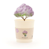 Klimabaum Anzuchtset – Paulownia tomentosa Saatgut im Becher — Ansicht 1