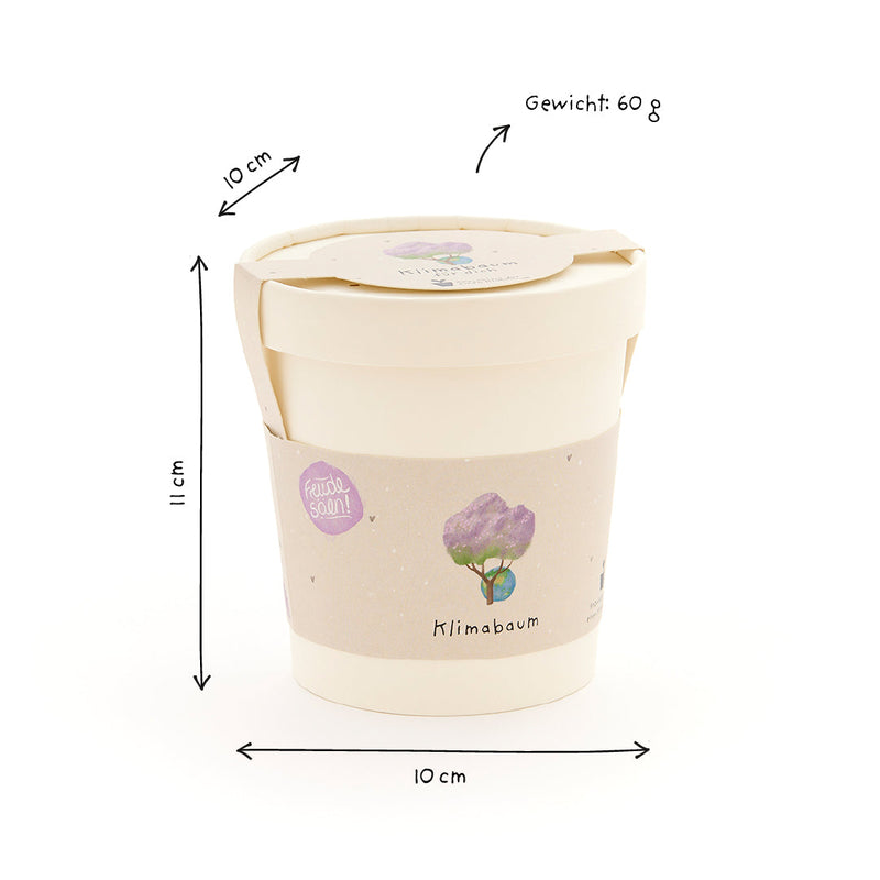 Klimabaum Anzuchtset – Paulownia tomentosa Saatgut im Becher — Ansicht 5