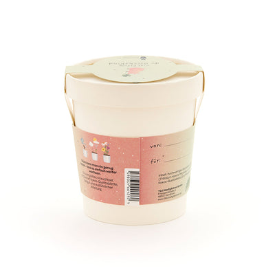 Glückskind Becher – Glücksklee Anzuchtset mit Anleitung