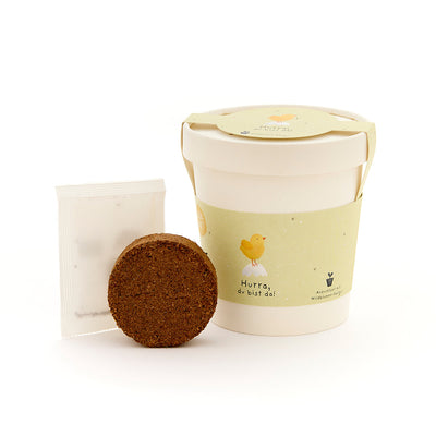 Hurra, du bist da – Wildblumen-Anzuchtset im Becher mit Küken-Motiv