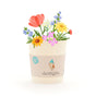 Geburtstagskind Becher – Anzuchtset mit Wildblumen