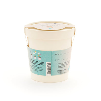 Geburtstagskind Becher – Anzuchtset mit Wildblumen