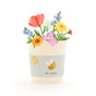 Bee Happy Mug – Bee Pasture Seed Kit Organic