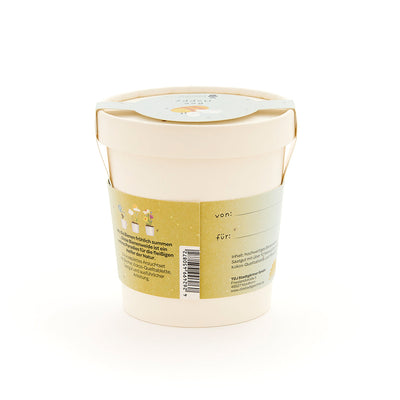 Bee Happy Mug – Bee Pasture Seed Kit Organic