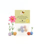 5 flower seed bombs in a bag – for bees & bumblebees