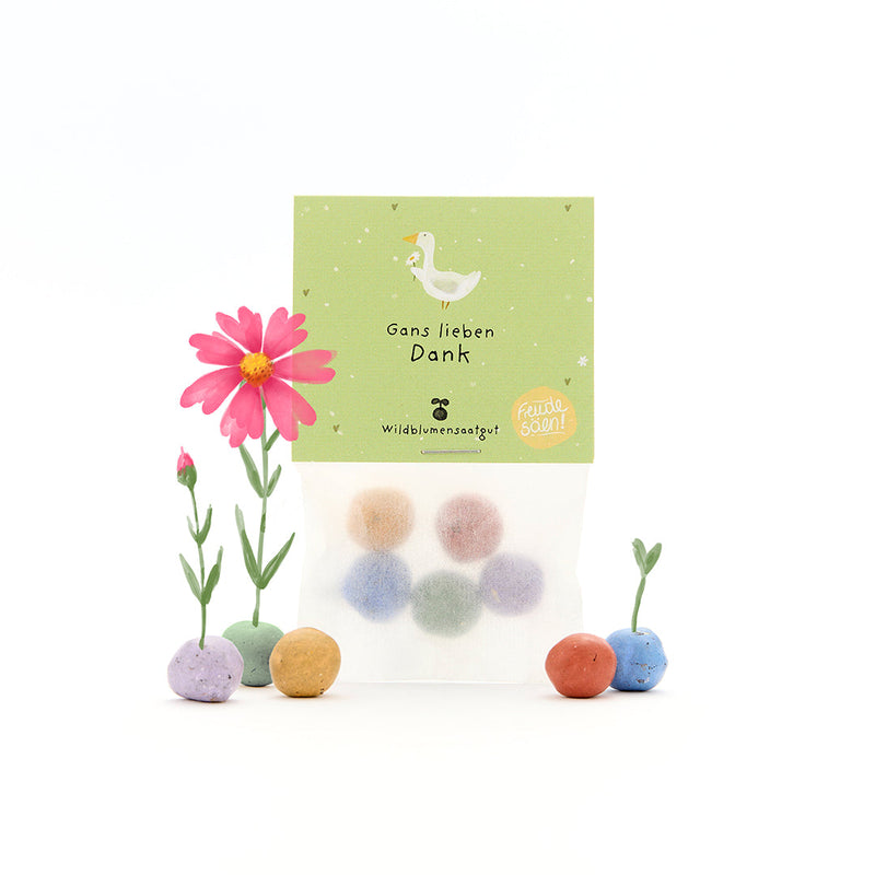 5 flower marbles in a "Goose-ly Thank You" pouch — Die Stadtgärtner