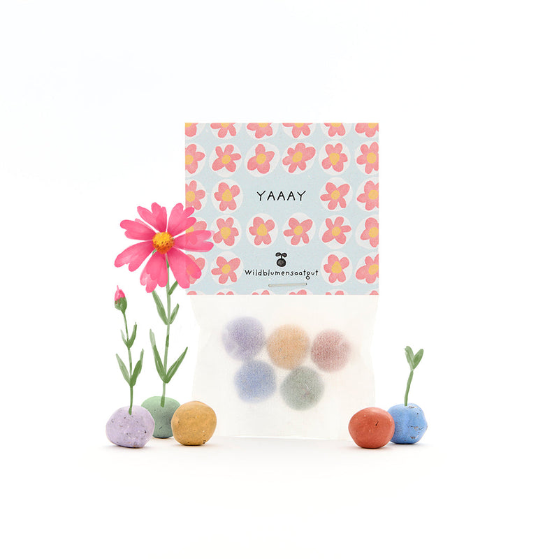 5 flower marbles in a "Yay" bag – seed bombs for gifting — Die Stadtgärtner
