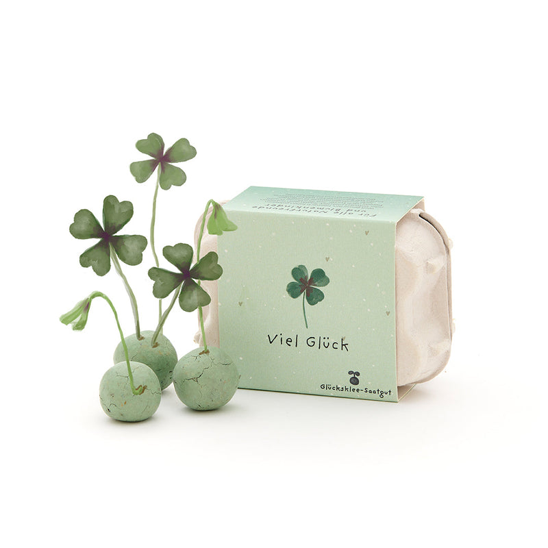 6 colorful flower marbles in egg carton "Good Luck" - lucky clover seed balls — Die Stadtgärtner