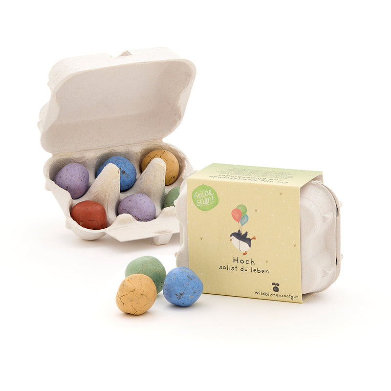 6 Colorful Flower Seed Bombs in an Egg Carton – Wildflower Seeds for Gifting — Ansicht 2