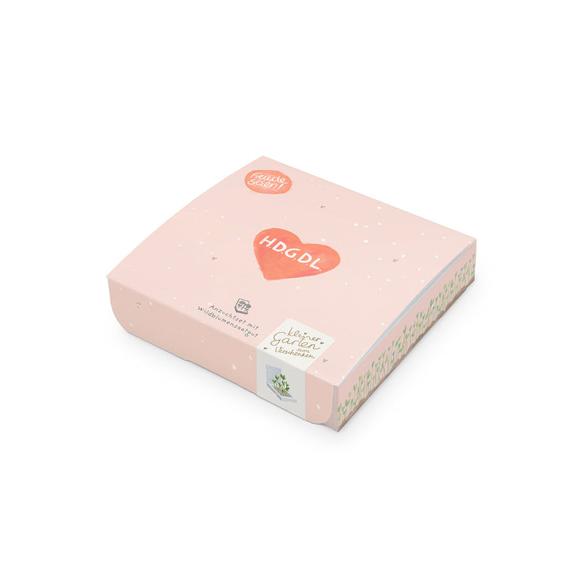 Pflanzkästchen HDGDL – Wildblumensaatgut mit Hanfmatte — Ansicht 7
