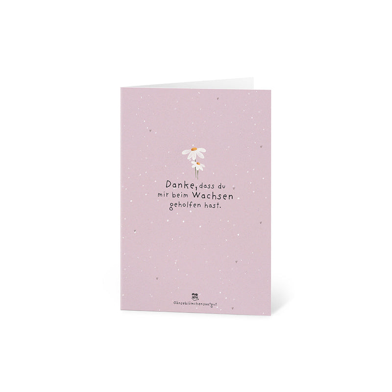 Grußkarte Danke – Saatpapier mit Gänseblümchen — Ansicht 8