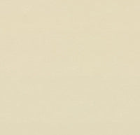 DEXTER: Artist Stehschreibtisch – Höhenverstellbar Buchenholz 160x80 cm — Ansicht 9