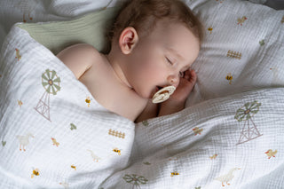 Gänselein Premium Kinderbettwäsche – Bauernhof Romantik | Atmungsaktiv | Hautfreundlich