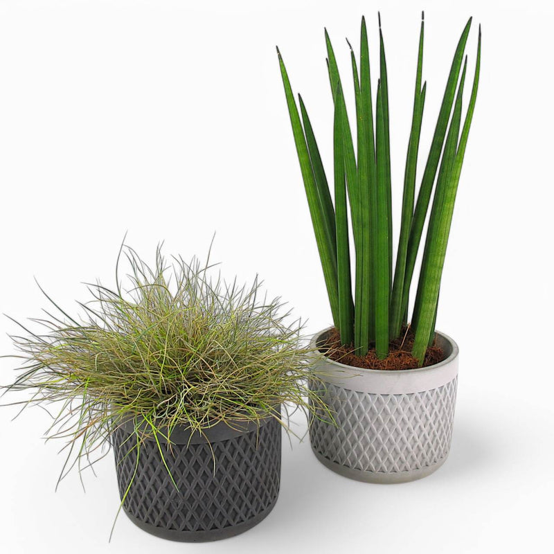 Tuvag Blumentopf Ø 14 cm aus Beton – Handgefertigt — Ansicht 1