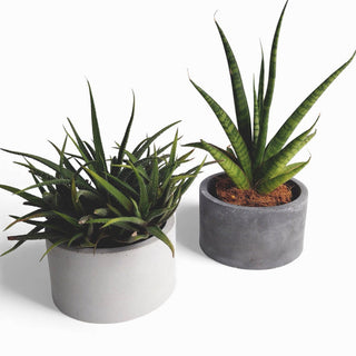 Kukki Blumentopf aus Beton Ø 11 cm mit Filzfüßen