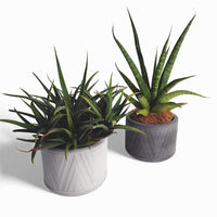 Puodas Blumentopf aus Beton Ø 10 cm mit Filzfüßen — Ansicht 1
