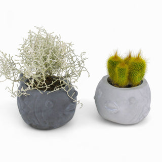 Uvis | Kugelfisch aus Beton – Dekorativ | Vielseitig | Handgefertigt