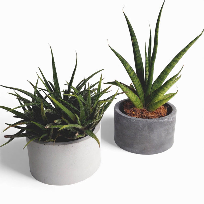 Kukki Concrete Flower Pot Ø 11 cm with Felt Feet — Ansicht 1