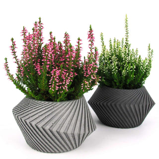 Keeris | Pflanzgefäß aus Beton – Innovativ | Langlebig | Stilvoll