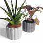 Zarka Blumentopf aus Beton Ø 10 cm mit Filzfüßen