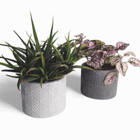 Sodin Blumentopf aus Beton | Ø 10 cm | Filzfüße — Ansicht 1