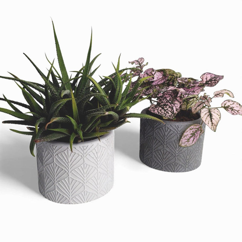 Sodin Blumentopf aus Beton | Ø 10 cm | Filzfüße — Ansicht 1