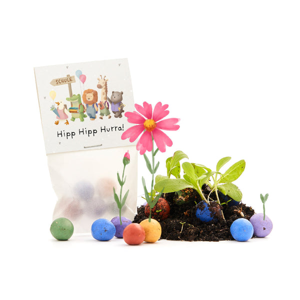 5 flower seed balls in a pouch for school enrollment 