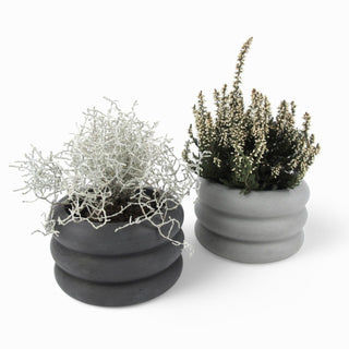 Flori | Blumentopf Ø10cm aus Beton – Robust | Wasserdicht | Vielseitig