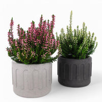 Tinn Plant Pot Ø10cm Concrete – Minimalist & Robust — Ansicht 1