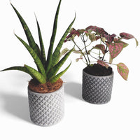 Tuska concrete flower pot Ø 8 cm with felt feet — Ansicht 1
