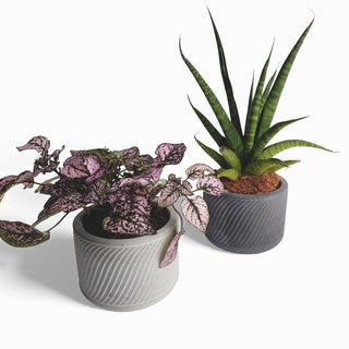 Sukuri Blumentopf aus Beton Ø 10 cm mit Filzfüßen