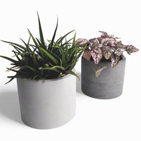 Kvety Concrete Flower Pot Ø 12 cm with Felt Feet — Ansicht 1
