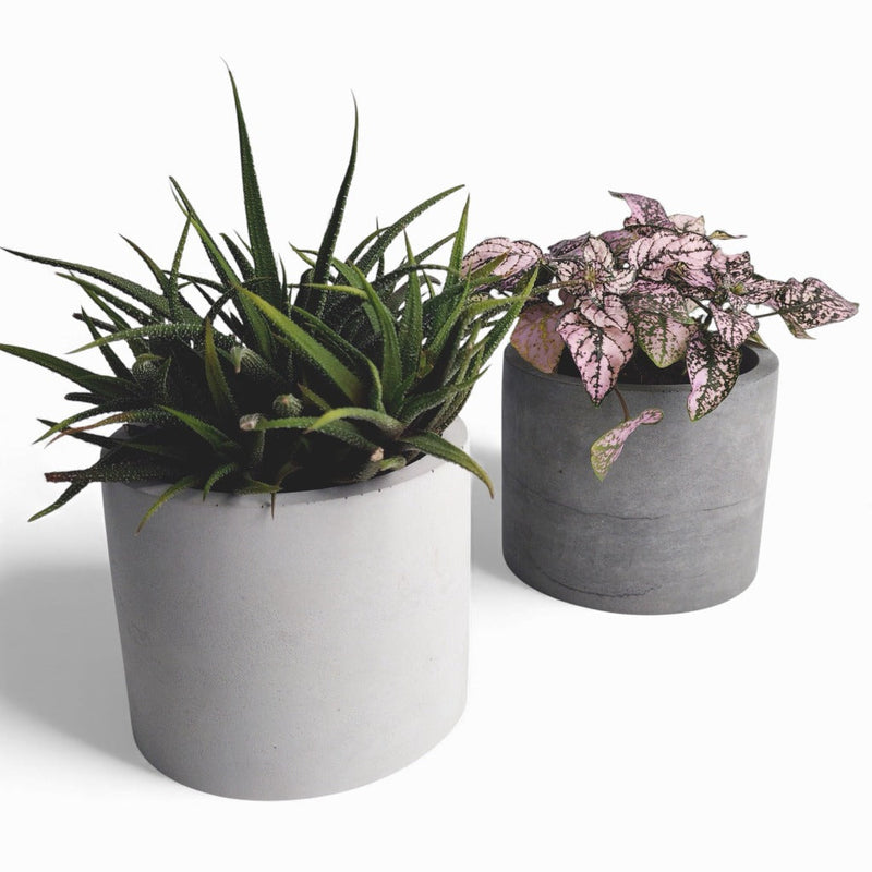 Kvety Concrete Flower Pot Ø 12 cm with Felt Feet — Ansicht 1