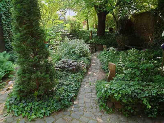 Nüri Wegeleuchte – Fachwerkholz | Nachhaltig | Handgefertigt