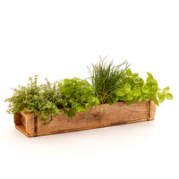 Long Brick Form with 2 Compartments – Wood, Handmade — Ansicht 6