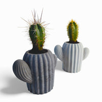Cactu Kaktus aus Beton mit Filzfüßen | Handworkz — Ansicht 1