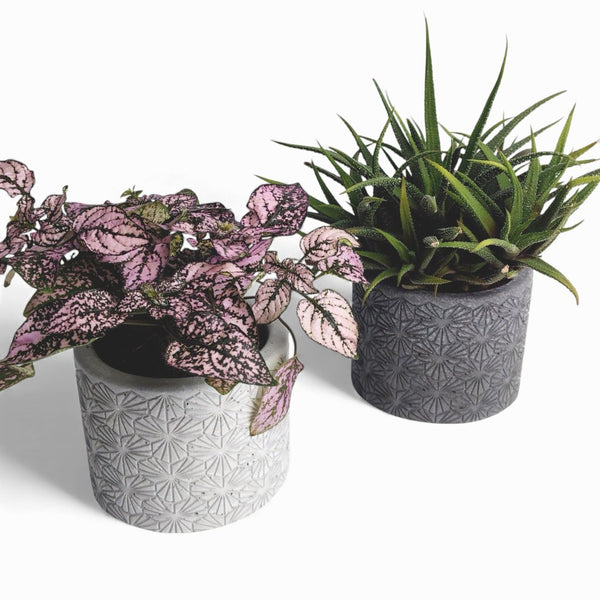 Tikko Blumentopf aus Beton Ø 10 cm mit Filzfüßen