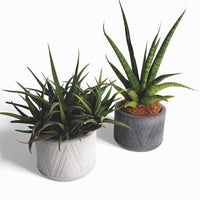 Puodas Blumentopf aus Beton Ø 10 cm mit Filzfüßen — Ansicht 2