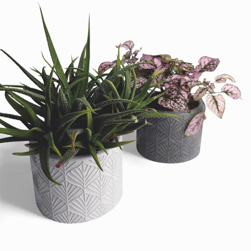 Sodin Blumentopf aus Beton | Ø 10 cm | Filzfüße — Ansicht 2