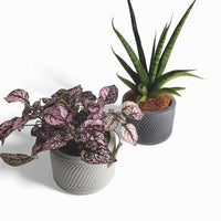 Sukuri Blumentopf aus Beton Ø 10 cm mit Filzfüßen — Ansicht 2