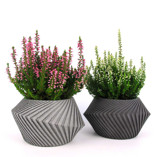 Keeri's Concrete Planter - Spiral Design, Watertight