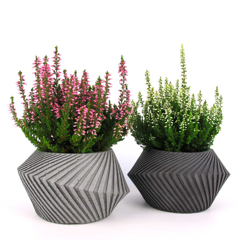 Keeri's Concrete Planter - Spiral Design, Watertight — Ansicht 2