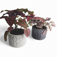 Olla Blumentopf aus Beton Ø 10 cm mit Filzfüßen — Ansicht 2
