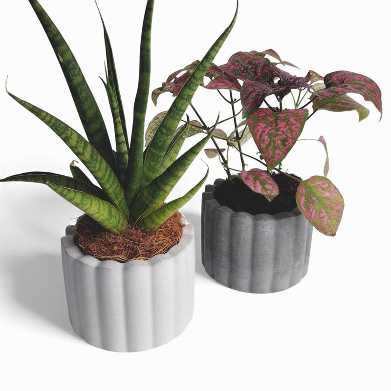 Zarka Blumentopf aus Beton Ø 10 cm mit Filzfüßen — Ansicht 2