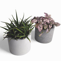 Kvety Concrete Flower Pot Ø 12 cm with Felt Feet — Ansicht 2