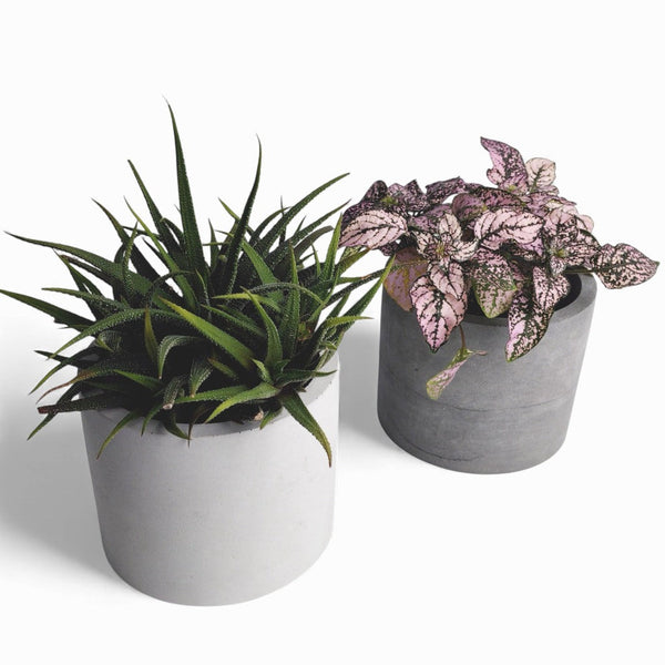Kvety Concrete Flower Pot Ø 12 cm with Felt Feet