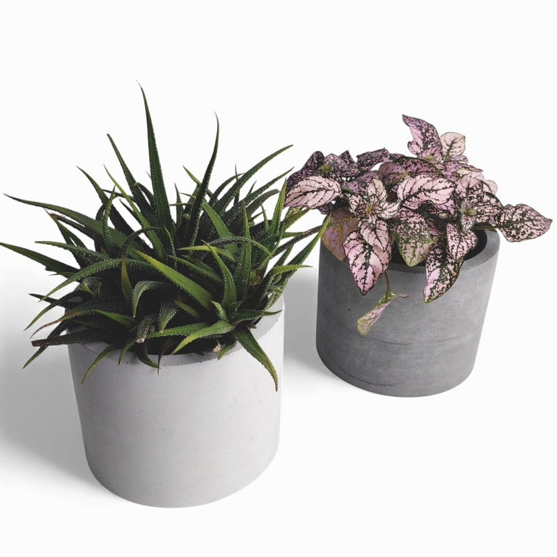 Kvety Concrete Flower Pot Ø 12 cm with Felt Feet — Ansicht 2
