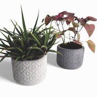 Vetina Blumentopf aus Beton Ø 10 cm mit Filzfüßen — Ansicht 2